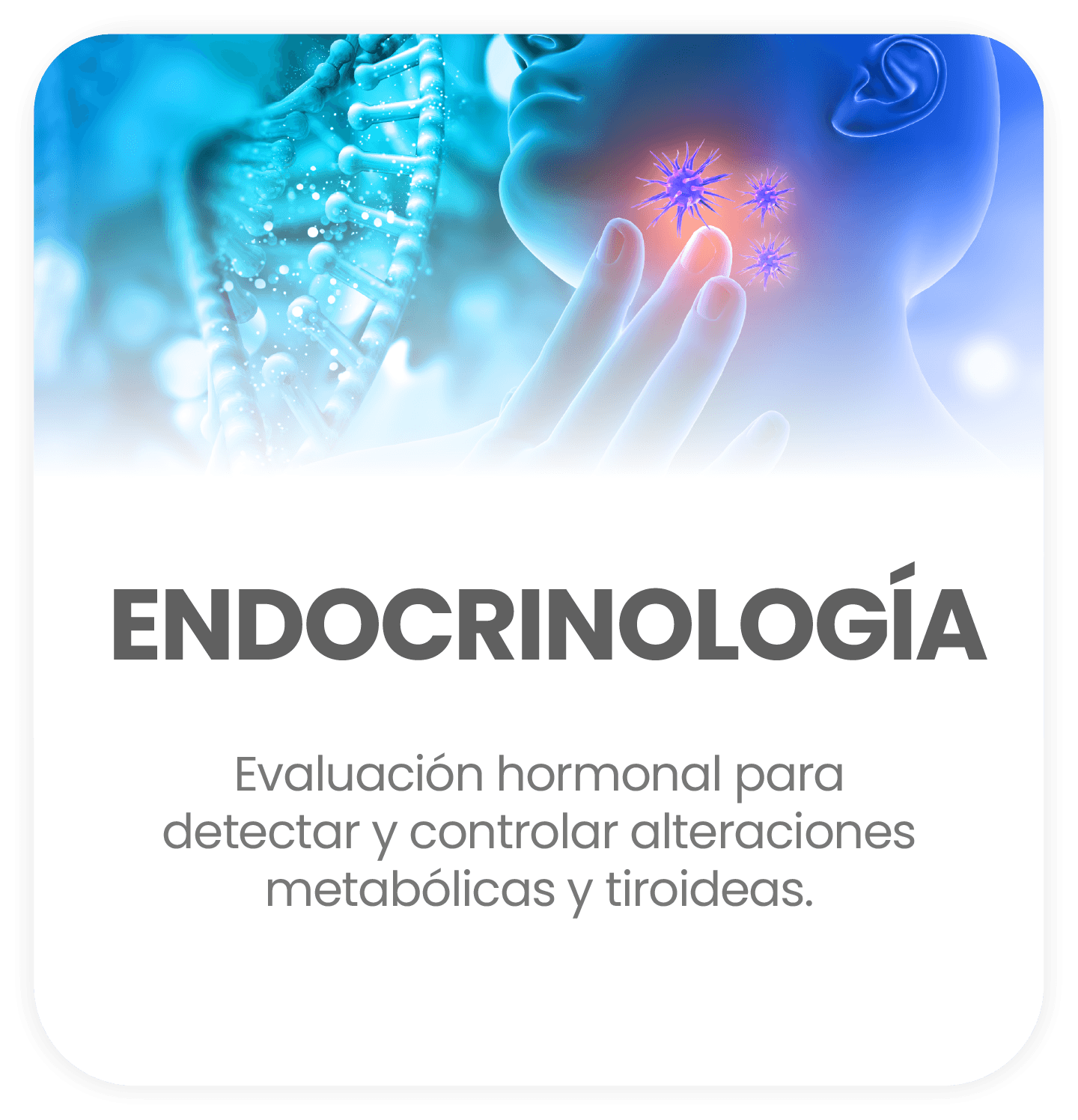 Endocrinología