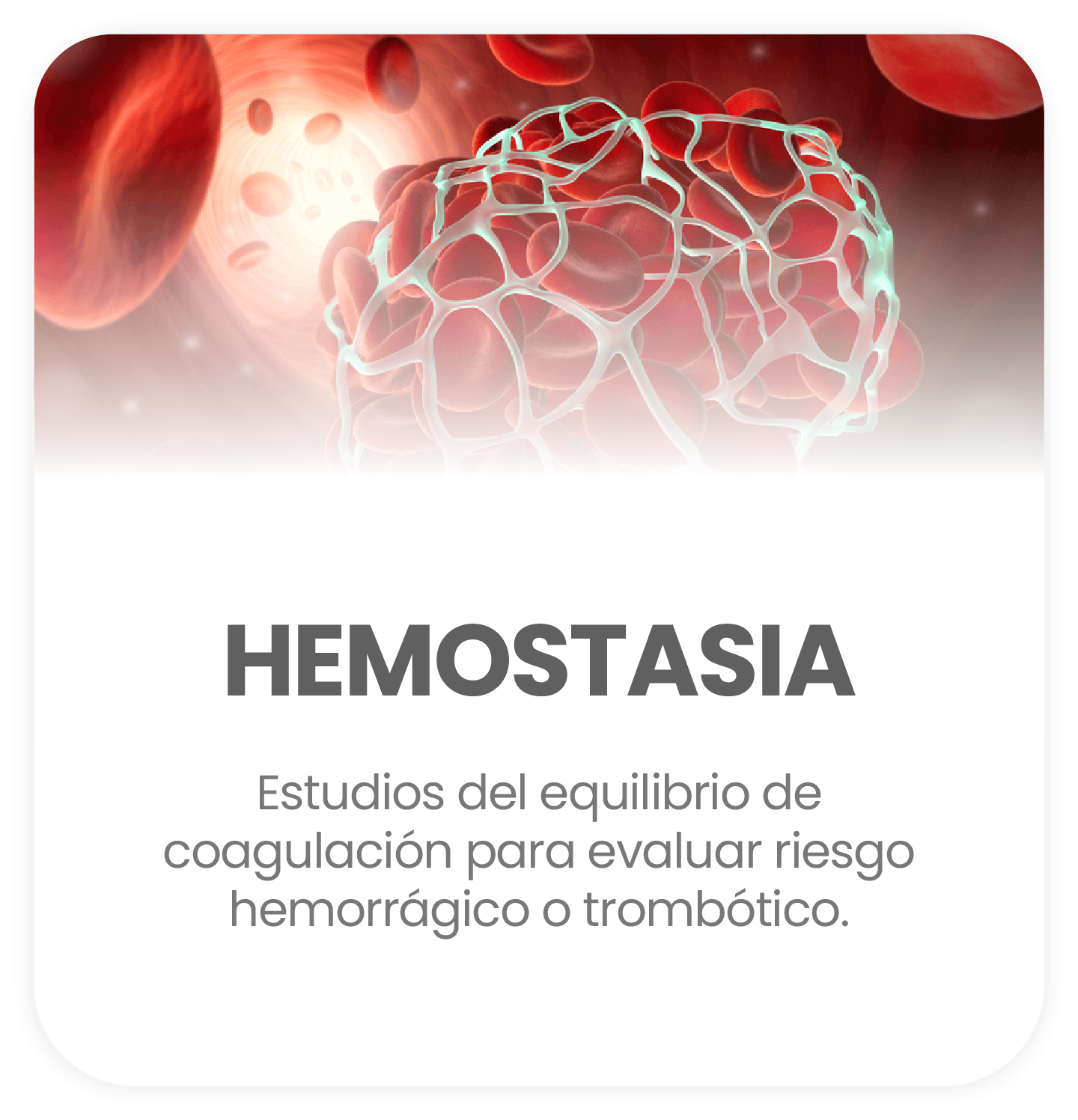 Hemostasia